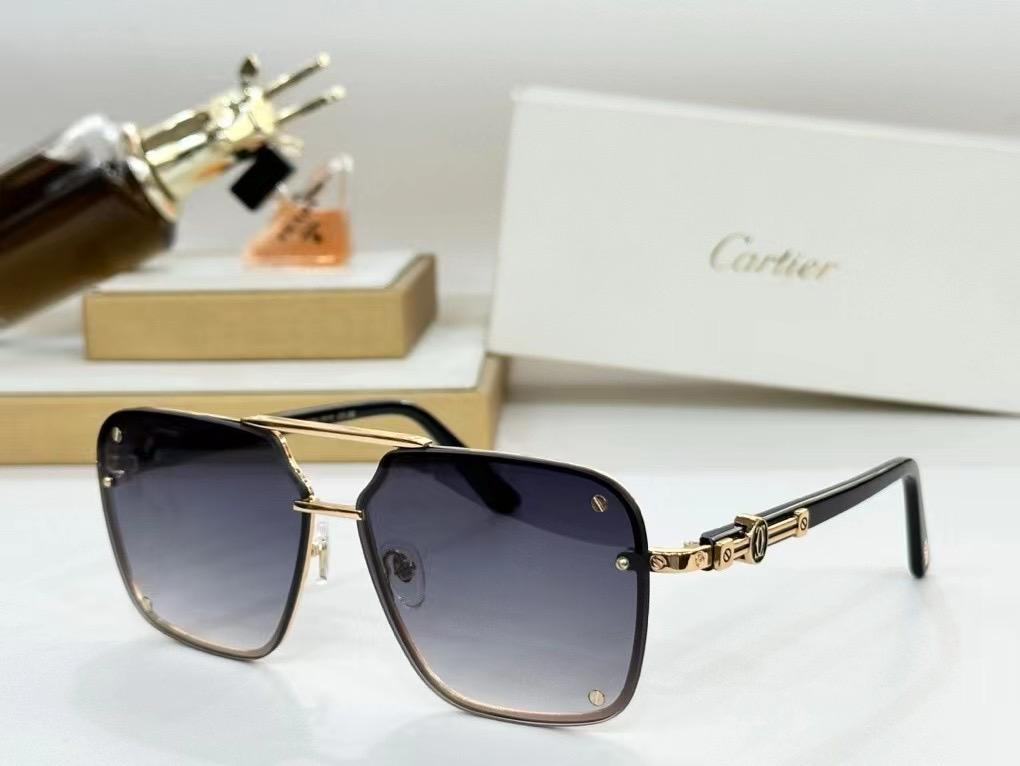 Unisex sunglasses CT0538S