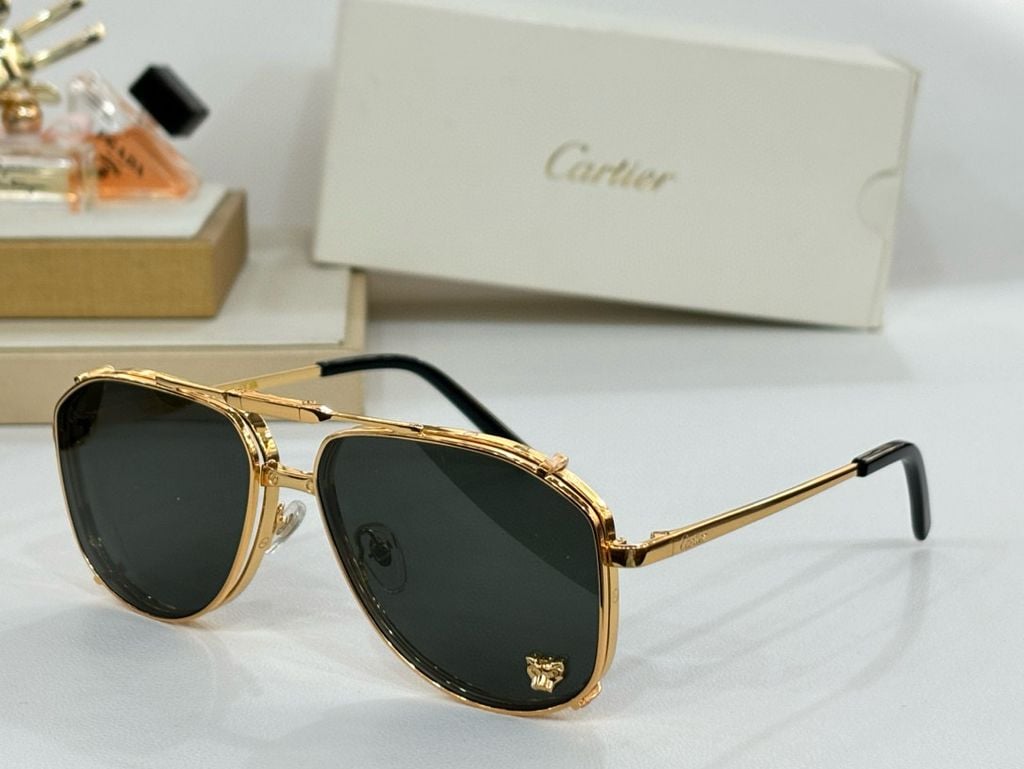 Unisex sunglasses CT0637S